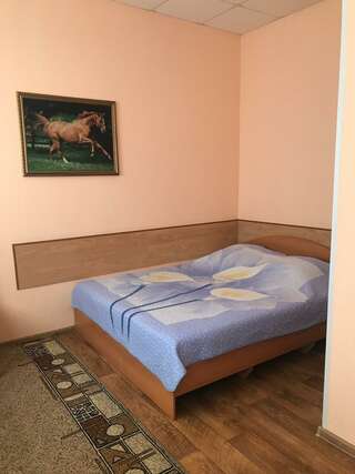 Гостиница Атлантик Барнаул Номер эконом с 1 двуспальной кроватью-1